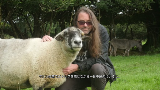 画像ギャラリー No.012のサムネイル画像 / ［レビュー］「Llamasoft The Jeff Minter Story」は “最後のインディーゲーム作家” ジェフ・ミンターの謎を探る，答えのない旅である
