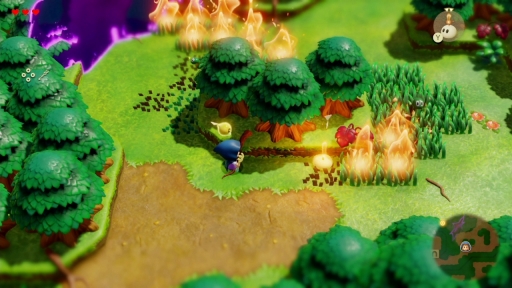 画像ギャラリー No.019のサムネイル画像 / ［プレイレポ］「ゼルダの伝説 知恵のかりもの」はさまざまな力を借りて先に進む感覚が新鮮。ゼルダシリーズ入門にもピッタリかも?