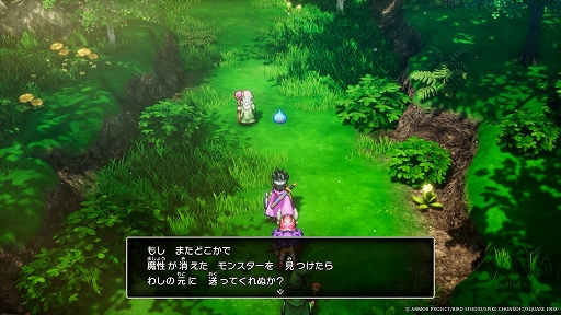 画像ギャラリー No.048のサムネイル画像 / HD-2D版「ドラゴンクエストIII そして伝説へ…」最新情報。冒険の仲間,まもの使いなど10種の職業,モンスター・バトルロードを紹介