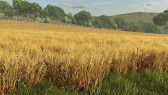 画像ギャラリー No.014のサムネイル画像 / 「Farming Simulator 25」,John Deereの農機が登場する無料DLC第6弾を配信