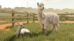 画像ギャラリー No.003のサムネイル画像 / 「Farming Simulator 25」，新大型拡張パック「Beans & Alpacas」を10月27日にリリース。南米を舞台にした農業地域が登場