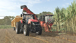 画像ギャラリー No.006のサムネイル画像 / 「Farming Simulator 25」，新大型拡張パック「Beans & Alpacas」を10月27日にリリース。南米を舞台にした農業地域が登場