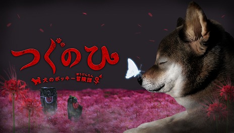 画像ギャラリー No.008のサムネイル画像 / ゲーム実況者のポッキー氏と日常侵食ホラーゲーム「つぐのひ」がコラボ。ホラーADV「つぐのひ -犬のポッキー冒険譚-」Steamで配信開始