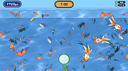 すくって！金魚すくい
