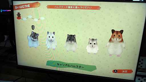 画像ギャラリー No.008のサムネイル画像 / ワッチャワチャでモッチャチャなハムスターライフはいかが？　「箱庭開拓 ハムスターと太陽の里」を体験［TGS2024］