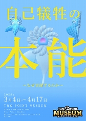 画像ギャラリー No.011のサムネイル画像 / ヘンテコ博物館経営シム「ツーポイントミュージアム」，PS5版本日発売。展示品の収集や館内デザインなどを行い，唯一無二の博物館を運営する