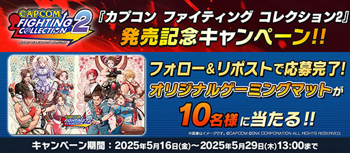 画像ギャラリー No.020のサムネイル画像 / 1990年〜2000年代にリリースされたアーケードゲームを収録する「カプコン ファイティング コレクション2」,本日発売