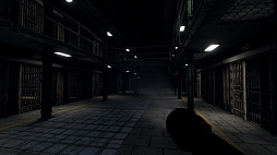 Prison Alone