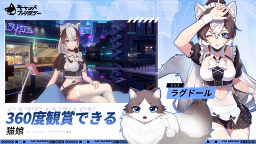 キャットファンタジー