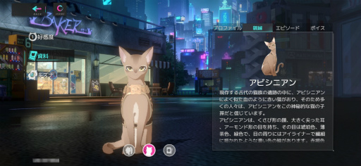 画像ギャラリー No.006のサムネイル画像 / 猫娘たちと織りなすボリューム大満足な近未来RPG「キャットファンタジー」,今なら最大300回分のガチャも引ける!【PR】