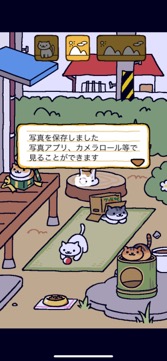画像ギャラリー No.006のサムネイル画像 / ねこを集めて愛でよう! シンプル可愛い放置系ゲーム「ねこあつめ+」(今日から始めろApple Arcade #18)