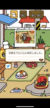 画像ギャラリー No.009のサムネイル画像 / ねこを集めて愛でよう! シンプル可愛い放置系ゲーム「ねこあつめ+」(今日から始めろApple Arcade #18)