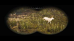 画像ギャラリー No.011のサムネイル画像 / ハンティングシム最新作「Hunting Simulator 3」，ゲームプレイ映像を公開。広大な狩場で痕跡を追い，獲物を仕留めるリアルな狩猟体験
