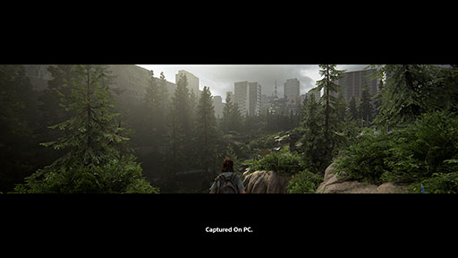 画像ギャラリー No.004のサムネイル画像 / PC版「The Last of Us Part II Remastered」,本日発売。ゲーム本編に加えてローグライクなサバイバルモードも楽しめる
