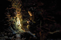 画像ギャラリー No.006のサムネイル画像 / ドラマ「THE LAST OF US シーズン2」，デジタルレンタル＆販売を開始。11月12日にはブルーレイコンプリート・ボックスもリリース
