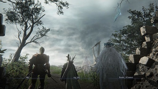 画像ギャラリー No.008のサムネイル画像 / ［プレイレポ］「ELDEN RING NIGHTREIGN」は忙しくて，難しくて，そして楽しすぎた。全要素を“協力の楽しさ”に振り切った異色のスピンオフ