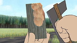 Pine: 喪失の物語
