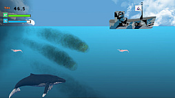 クジライフ
