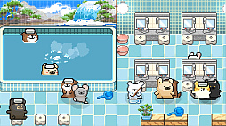 マルチーズとふわふわ温泉