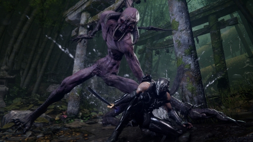 画像ギャラリー No.035のサムネイル画像 / 「NINJA GAIDEN 4」は超高難度で人を選ぶ? ――答えは否! 復活した究極のアクションは“硬派だけど実は面倒見がいい”ことを伝えたい【PR】