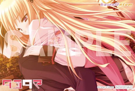 画像ギャラリー No.004のサムネイル画像 / フロンティアワークスの新ゲームブランド「kawaiinium」が発足。HD移植版「タユタマ -Kiss on my Deity-」を2025年春に発売