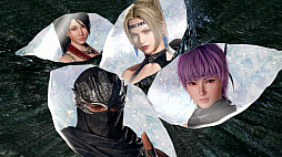 画像ギャラリー No.006のサムネイル画像 / 「無双アビス」，「NINJA GAIDEN」シリーズより，リュウ・ハヤブサ，あやね，レイチェル，紅葉が参戦