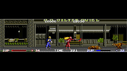 アーケードアーカイブス ニンジャウォーリアーズ