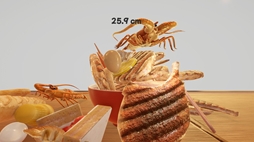 画像ギャラリー No.008のサムネイル画像 / 自分だけのラーメンが作れる「らーめんシミュレーター」,体験版をSteamで配信開始。トッピングをできるだけ高く積む「マシマシ」にも挑戦可能