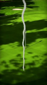 PGA TOUR Pro Golf