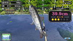 釣って！魚つり