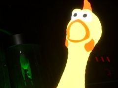 さまざまな力が使えるゴムチキンを片手に探索する「Squawky」，デモ版をSteamで配信開始。不気味なスクウォキーに捕まらないようにしよう