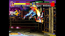 アケアカNEOGEO セレクション Vol.5