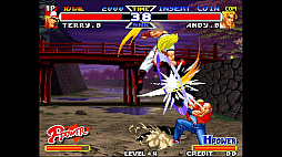 アケアカNEOGEO セレクション Vol.6