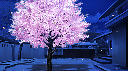 桜色の夢を見て、僕は君に恋をする