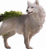 画像ギャラリー No.003のサムネイル画像 / ゲームフリークの新作「Beast of Reincarnation」，登場キャラクターの担当声優を公開。パッケージ版の店舗別購入特典の情報も明らかに