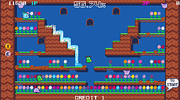 ブルームパラダイス
