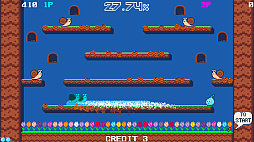 ブルームパラダイス