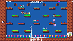 ブルームパラダイス