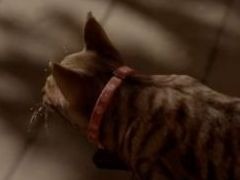 1匹の猫となり，不気味な何者かから逃げながら記憶を集める。探索ステルスアクション「まだ猫は逃げますか？」，配信時期が今秋に決定
