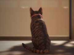 「近畿地方のある場所について」著者がシナリオを手掛ける，猫が主人公のホラーゲーム「まだ猫は逃げますか？」，10月27日に発売