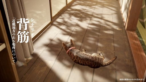 画像ギャラリー No.002のサムネイル画像 / 猫となって古民家を探索し，さまざまな謎の真相に迫る。「まだ猫は逃げますか？」，Steamで本日リリース