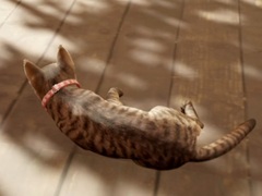 猫となって古民家を探索し，さまざまな謎の真相に迫る。「まだ猫は逃げますか？」，Steamで本日リリース