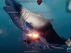 鳥類の末裔トゥアイの1羽として，氷河期が訪れた6500万年後の海で生き抜く。アクションADV「グレイシャード」，Switch2版が今冬発売決定