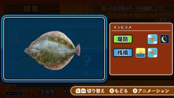 釣って！海つり