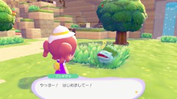 画像ギャラリー No.010のサムネイル画像 / ニンゲンに変身したメタモンとなり,ポケモンたちとのほのぼの暮らしを楽しめる「ぽこ あ ポケモン」発表。Switch2向けに2026年春発売