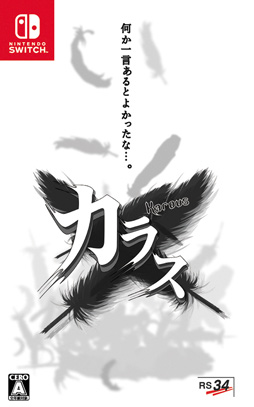 画像ギャラリー No.003のサムネイル画像 / ［インタビュー］モノトーンの名作「カラス」が現行機で復活。RS34が貫く，作家性むき出しのシューティングゲーム作り
