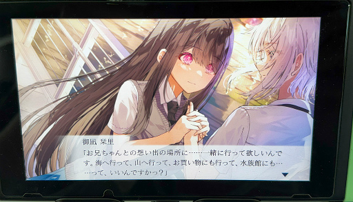画像ギャラリー No.010のサムネイル画像 / Steamで「非常に好評」のビジュアルノベルがSwitchへ。「嘘から始まる恋の夏」試遊レポート［TGS2025］