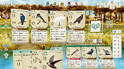 Birds and Cats