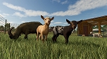 画像ギャラリー No.008のサムネイル画像 / Switch2用ソフト「Farming Simulator: SignatureEdition」が発売決定。「Farming Simulator 25」をベースにコンテンツ拡張パックを収録