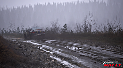 画像ギャラリー No.008のサムネイル画像 / 「Assetto Corsa Rally」,Peugeot 306 II Maxi Kit CarとSubaru Impreza S3 Group Aが登場
